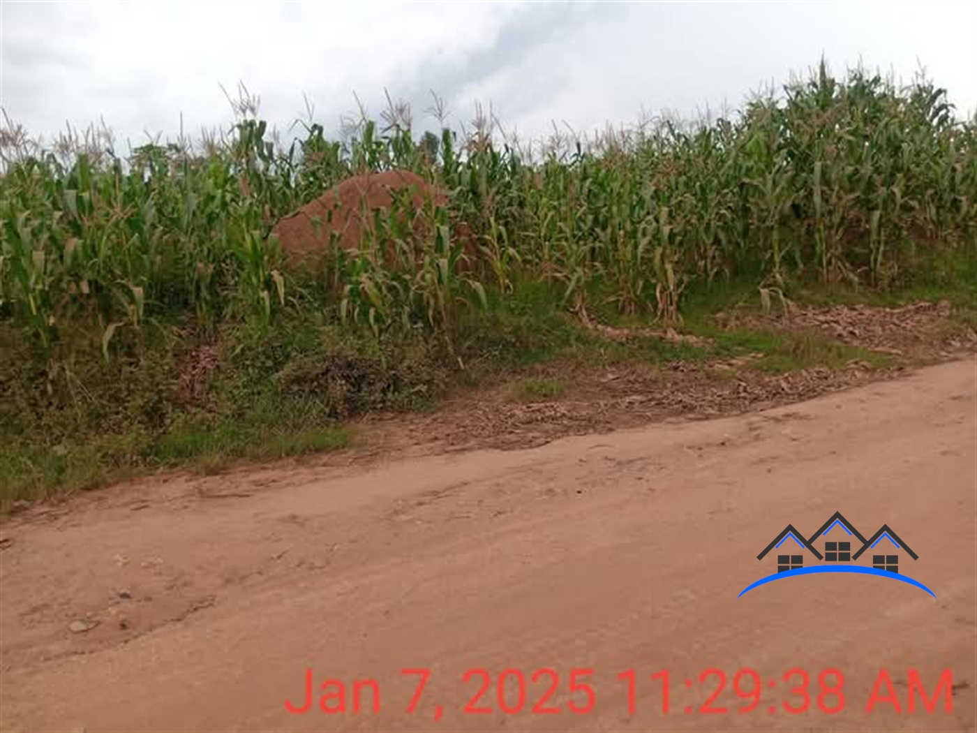 Residential Land for sale in Ntenjjeru Mukono