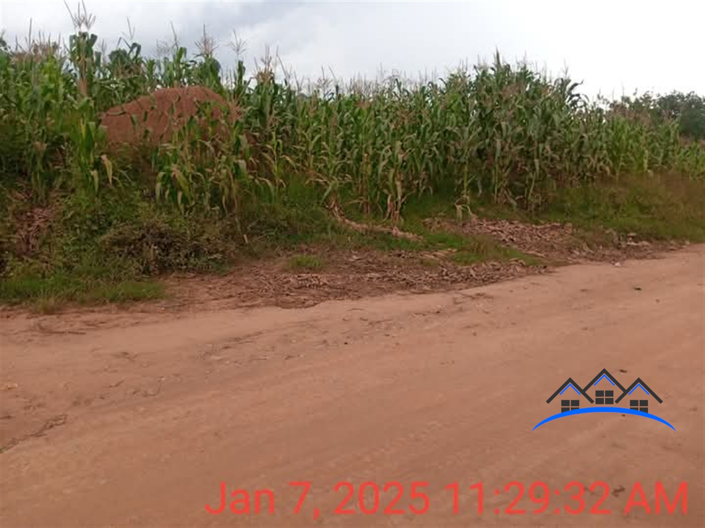 Residential Land for sale in Ntenjjeru Mukono