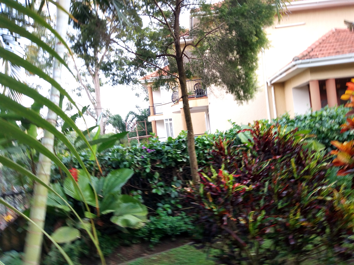 Apartment for rent in Kololo Kampala