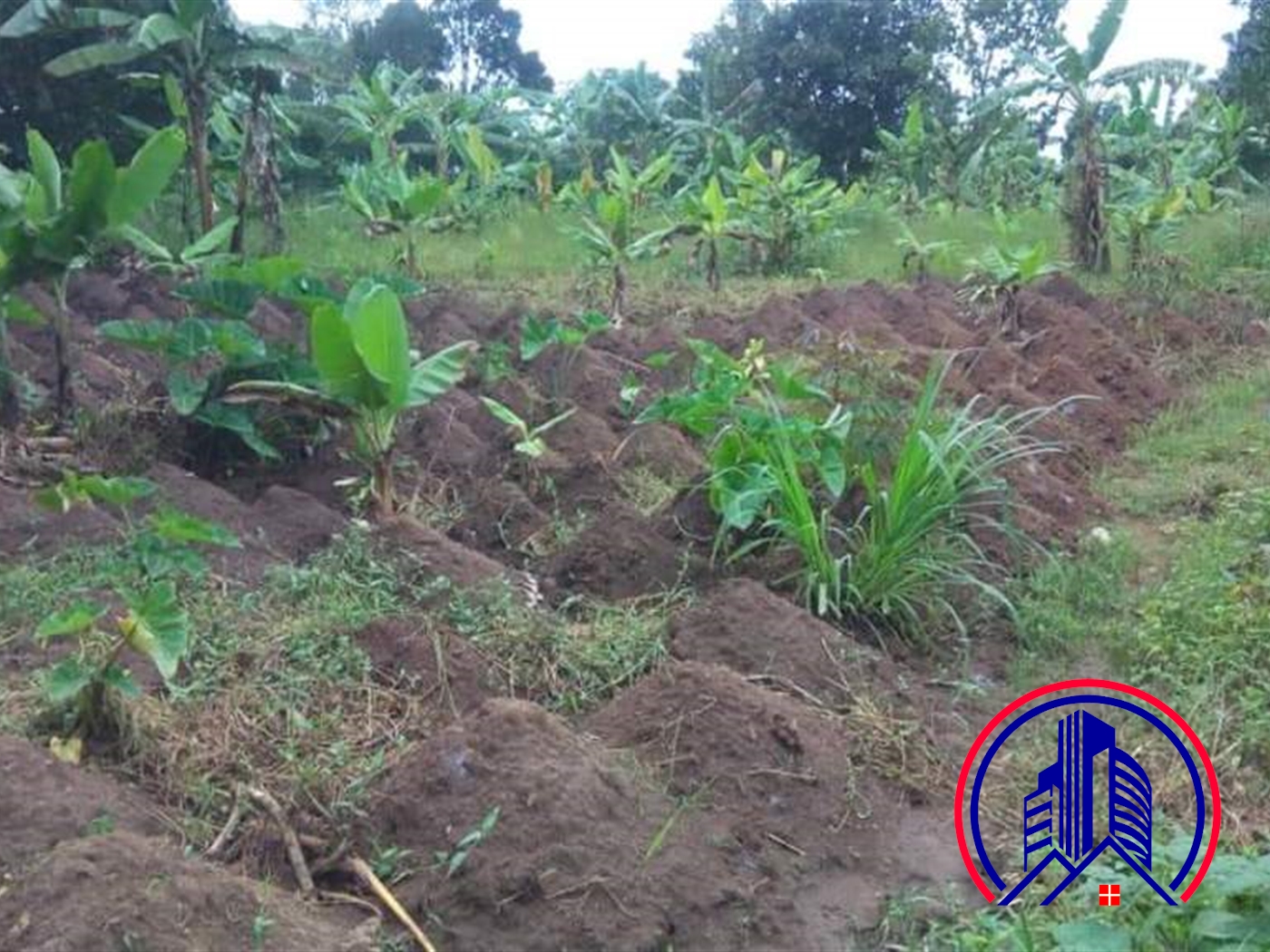 Agricultural Land for sale in Kayabwe Mpigi