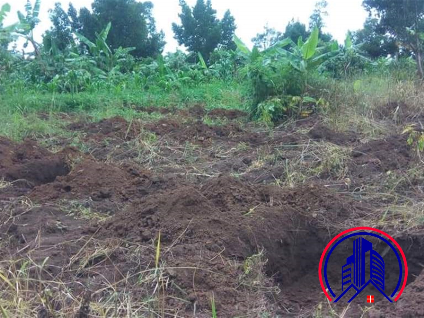 Agricultural Land for sale in Kayabwe Mpigi