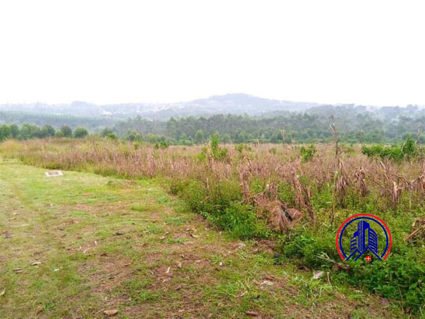 Residential Land for sale in Bukeelele Mukono