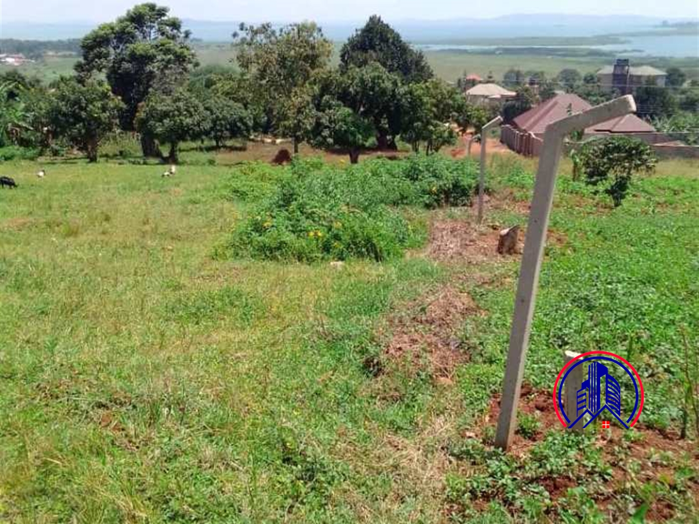 Residential Land for sale in Namulanda Wakiso