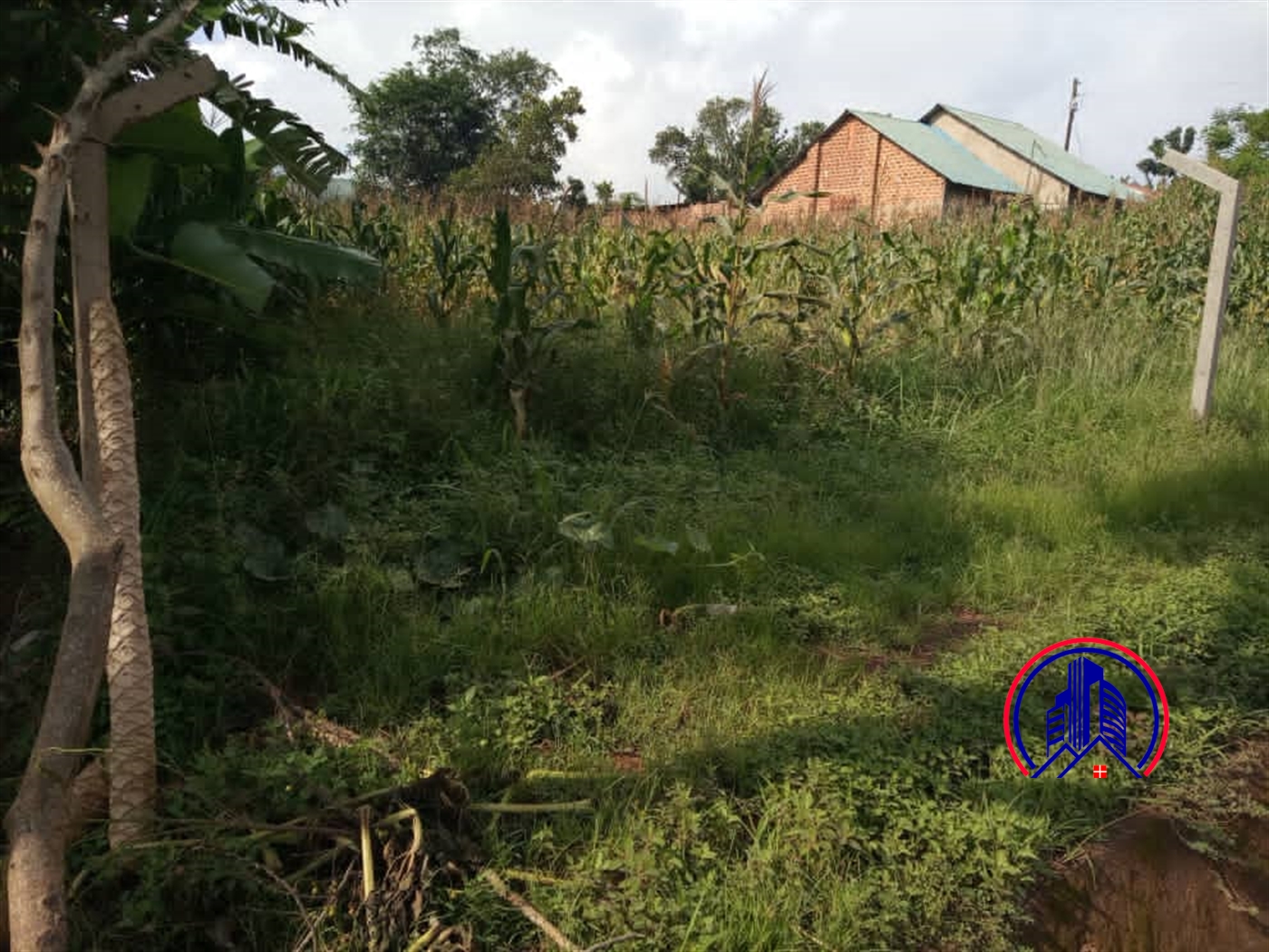 Commercial Land for sale in Namawojjolo Wakiso