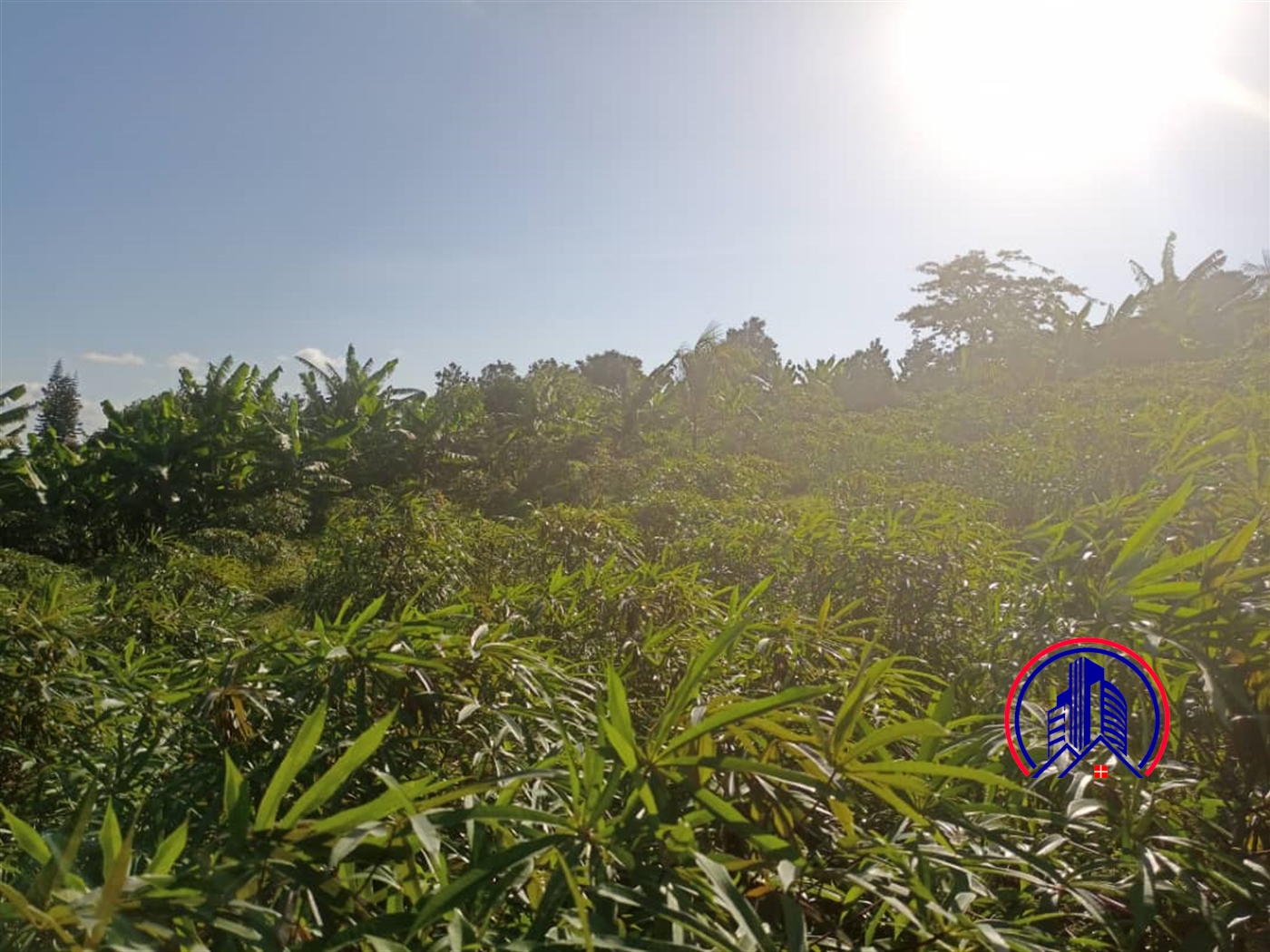 Commercial Land for sale in Kigo Wakiso