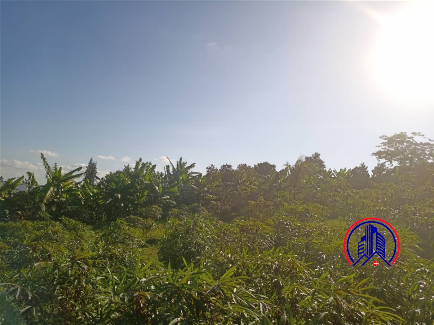 Commercial Land for sale in Kigo Wakiso