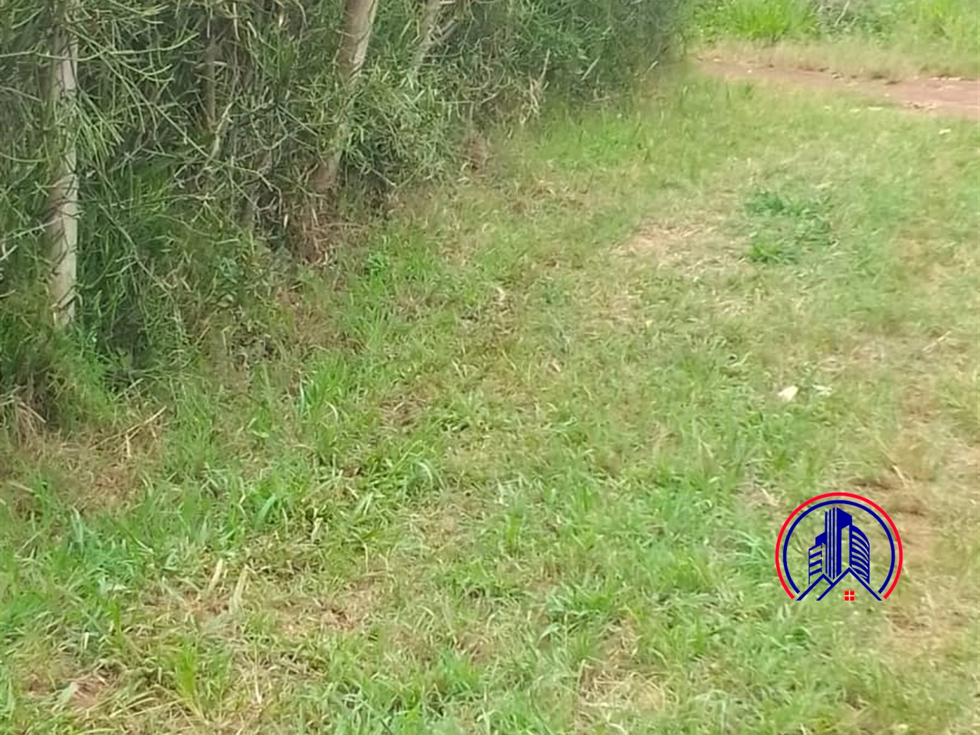 Commercial Land for sale in Kasanjje Wakiso