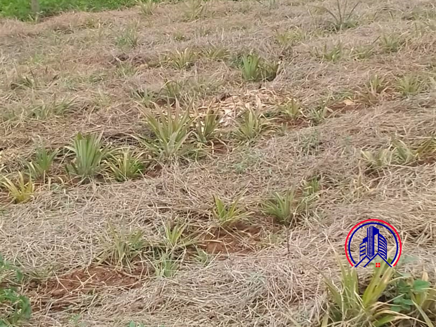 Commercial Land for sale in Kasanjje Wakiso