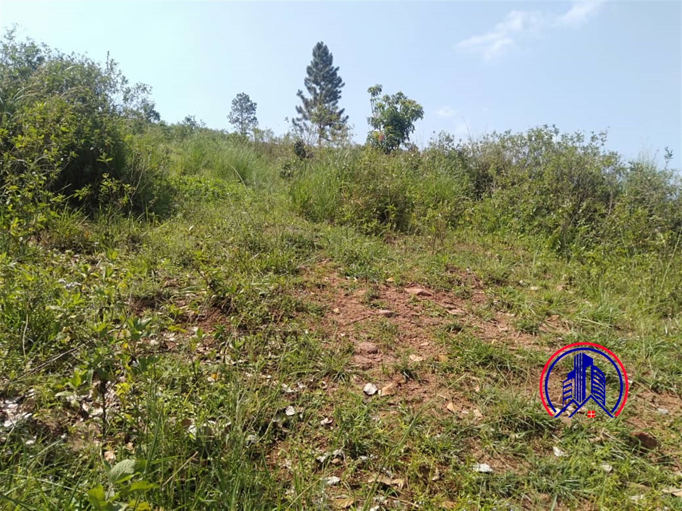 Commercial Land for sale in Bwebajja Wakiso