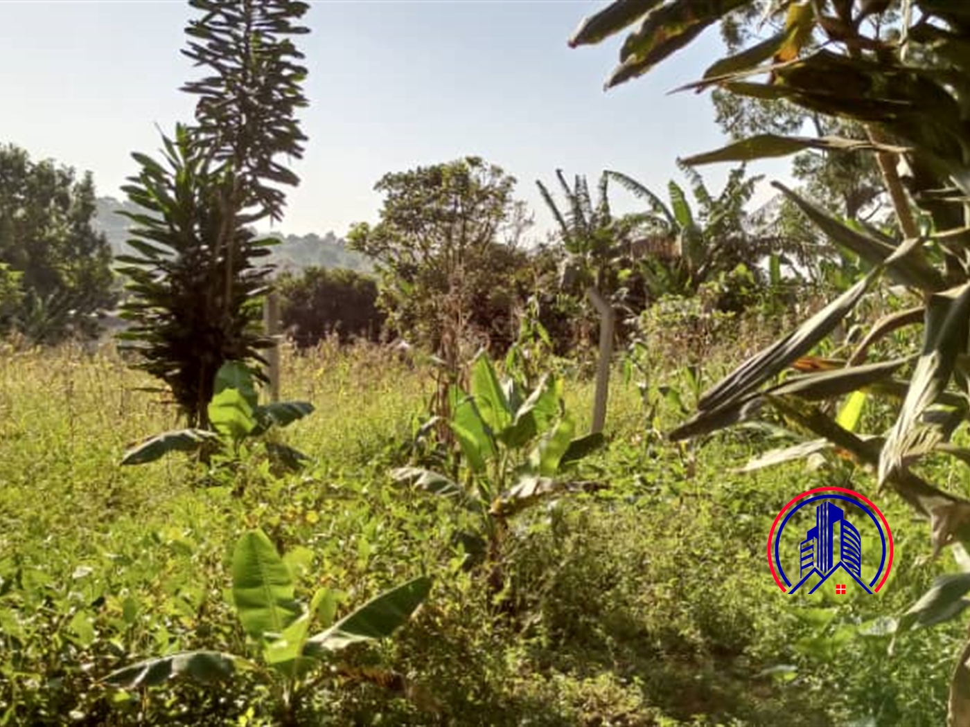 Residential Land for sale in Misindye Wakiso