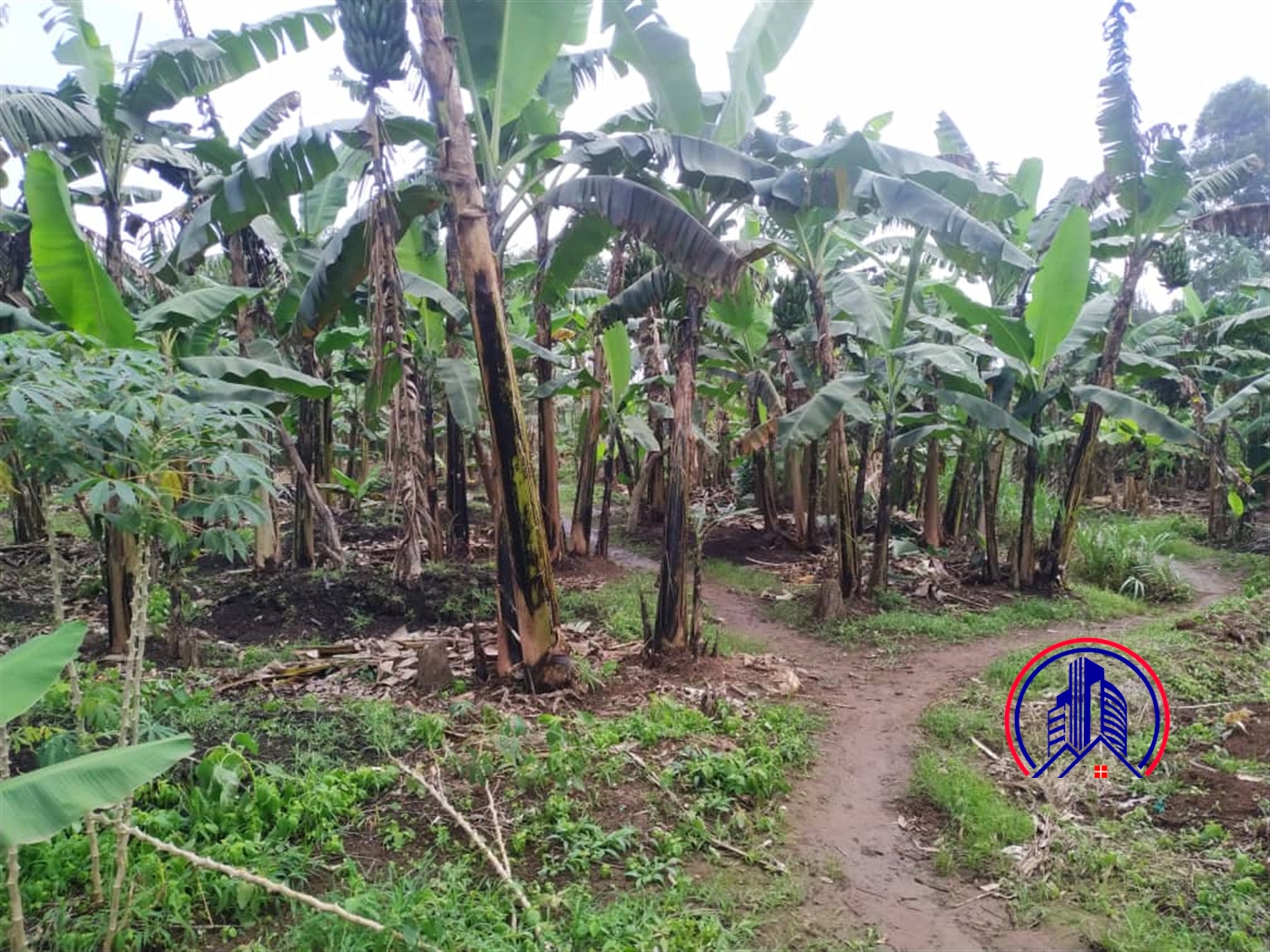 Residential Land for sale in Namugongo Wakiso