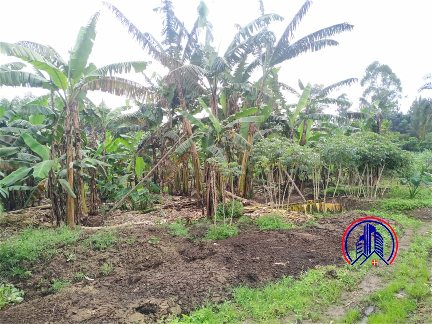 Residential Land for sale in Namugongo Wakiso