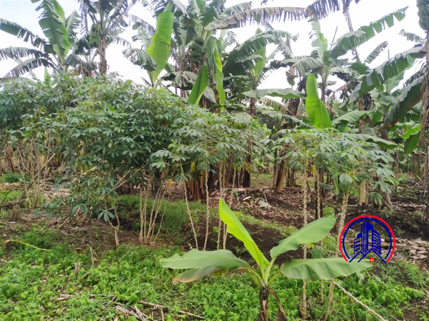 Residential Land for sale in Namugongo Wakiso