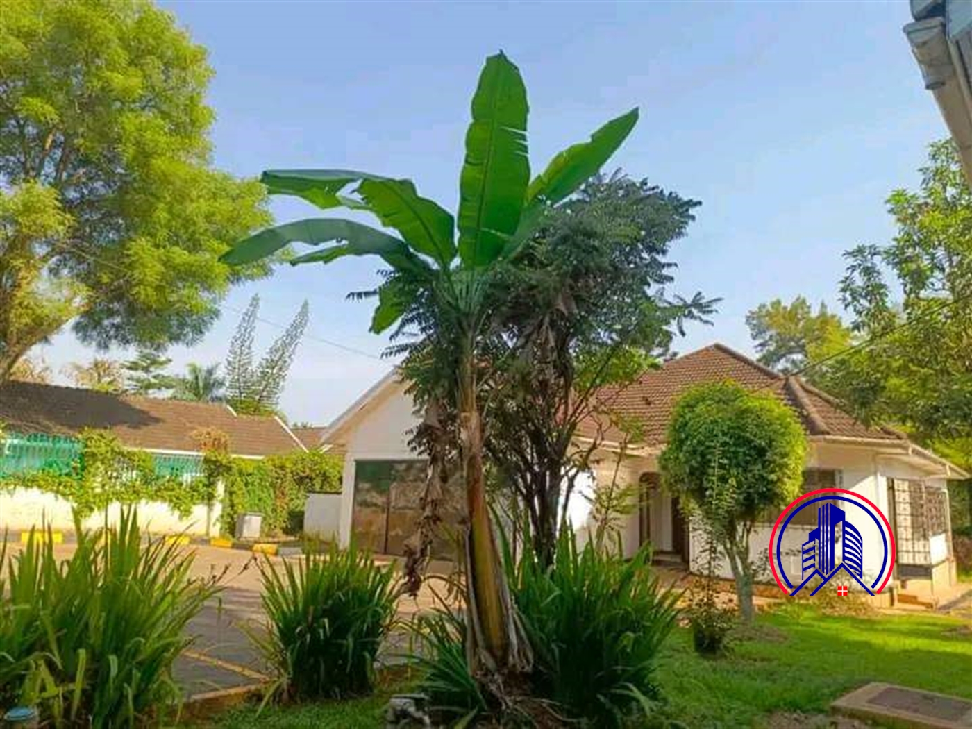 Bungalow for rent in Bugoloobi Kampala