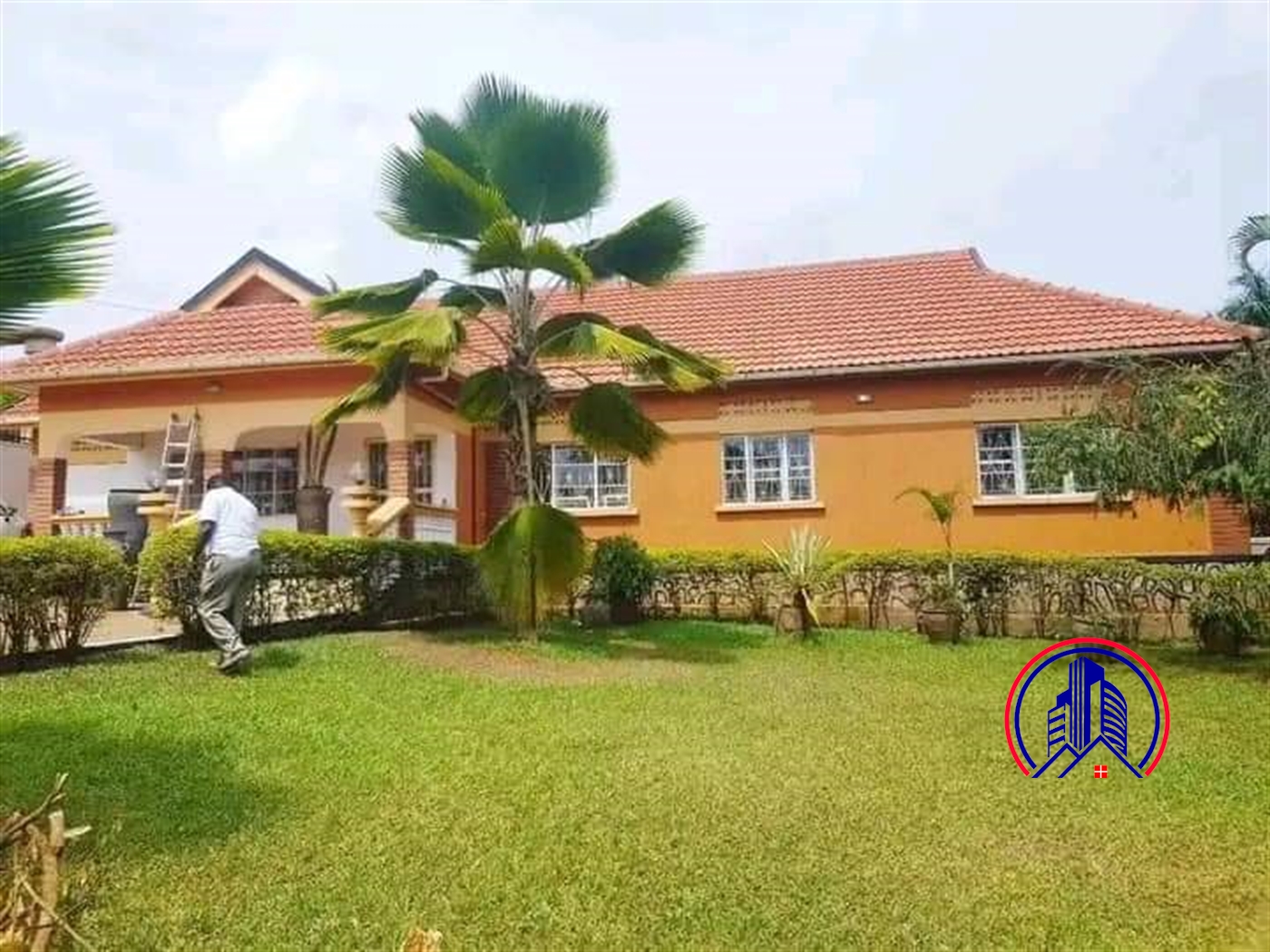 Bungalow for rent in Muyenga Kampala