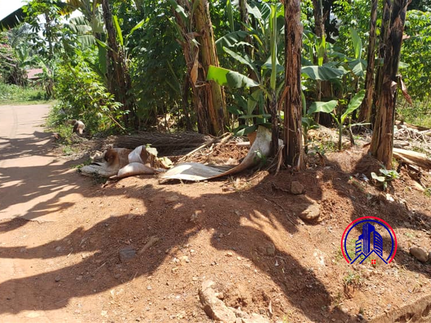 Residential Land for sale in Lweza Wakiso