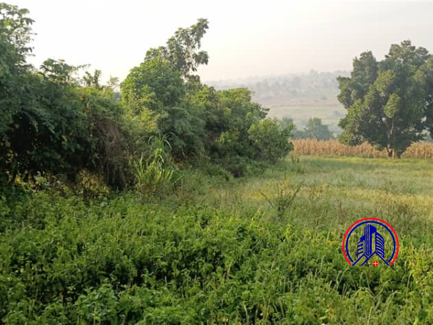 Multipurpose Land for sale in Kitume Masaka