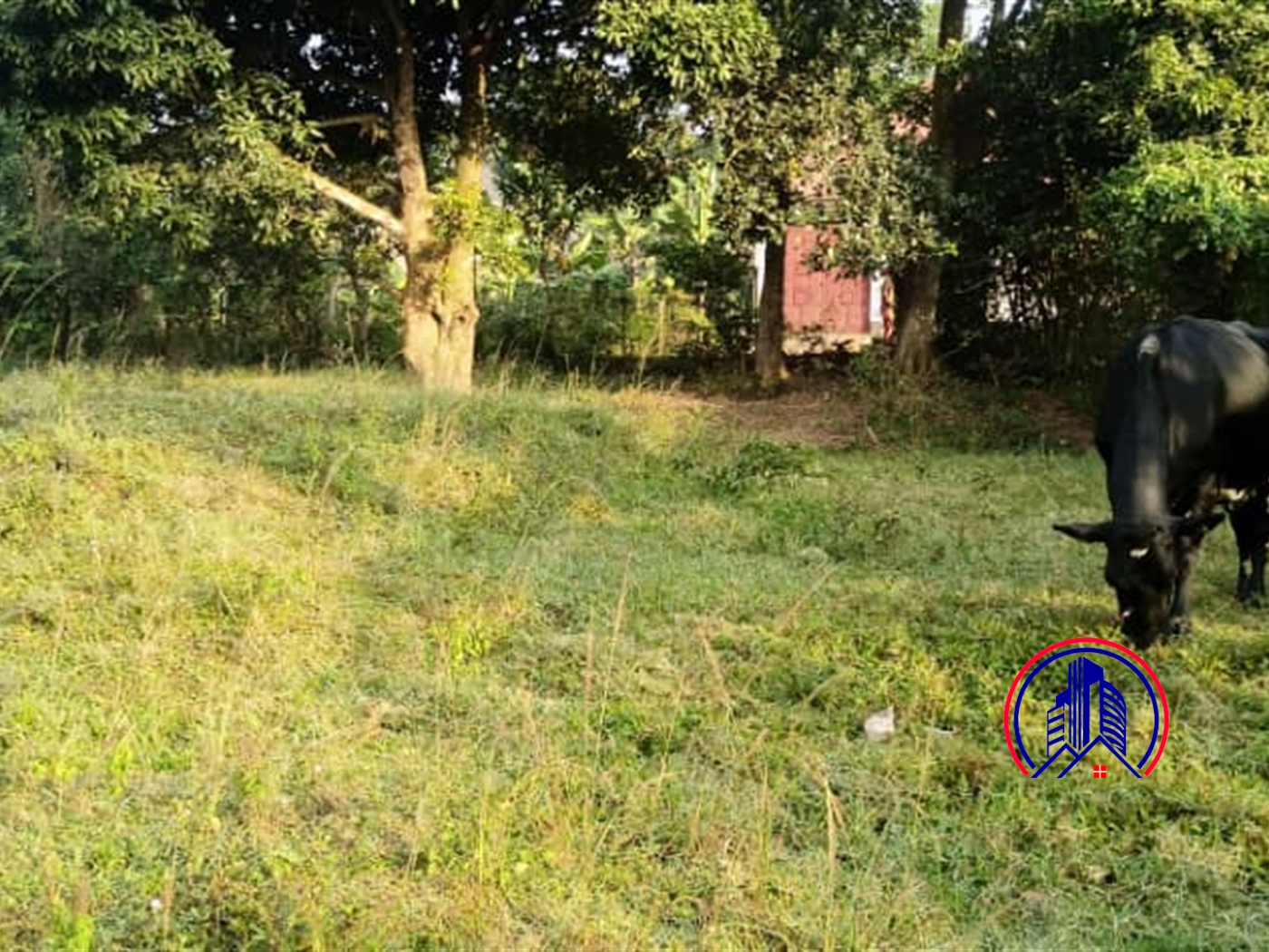 Multipurpose Land for sale in Kitume Masaka