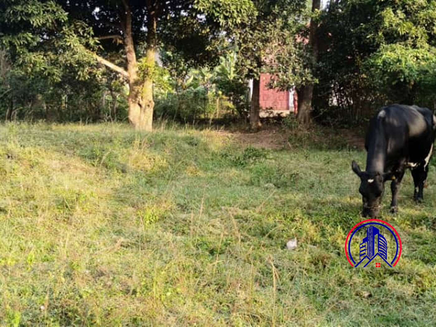 Multipurpose Land for sale in Kitume Masaka