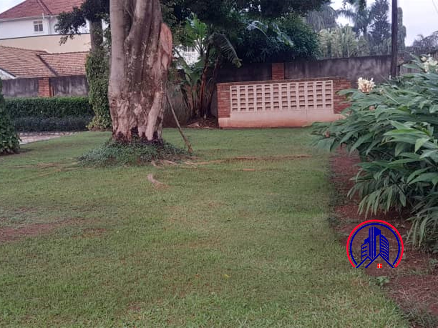 Bungalow for rent in Kololo Kampala