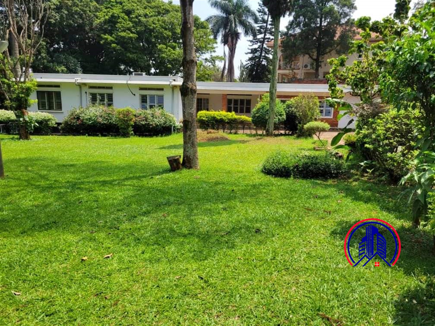 Bungalow for rent in Kololo Kampala