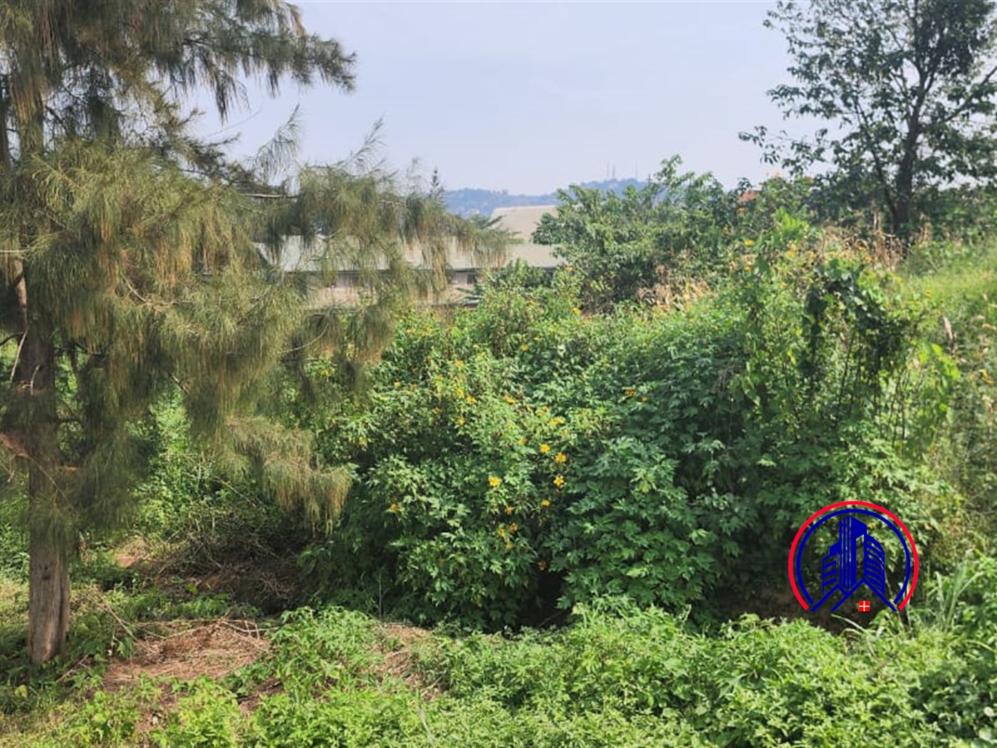 Residential Land for sale in Muyenga Kampala