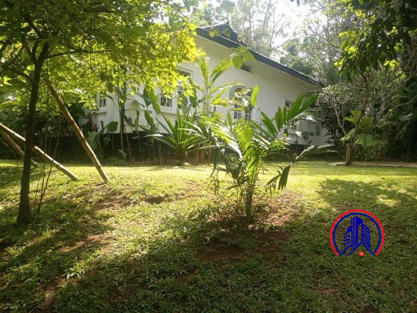 Bungalow for rent in Nakasero Kampala