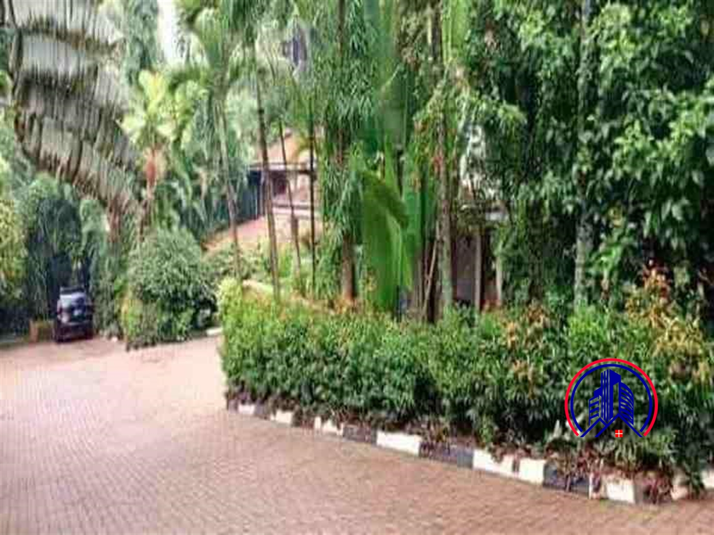 Duplex for rent in Kololo Kampala