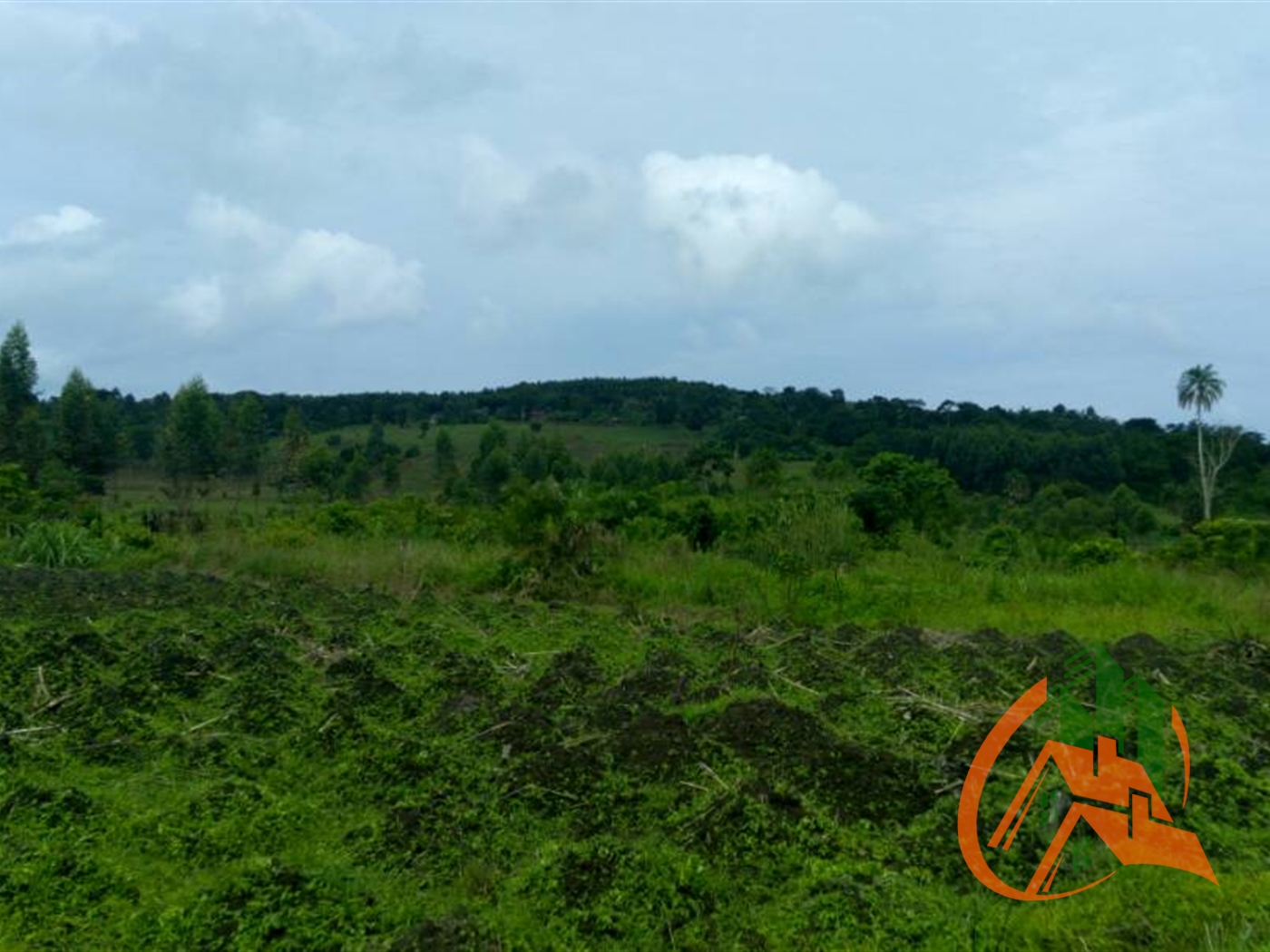 Agricultural Land for sale in Mityana Mityana