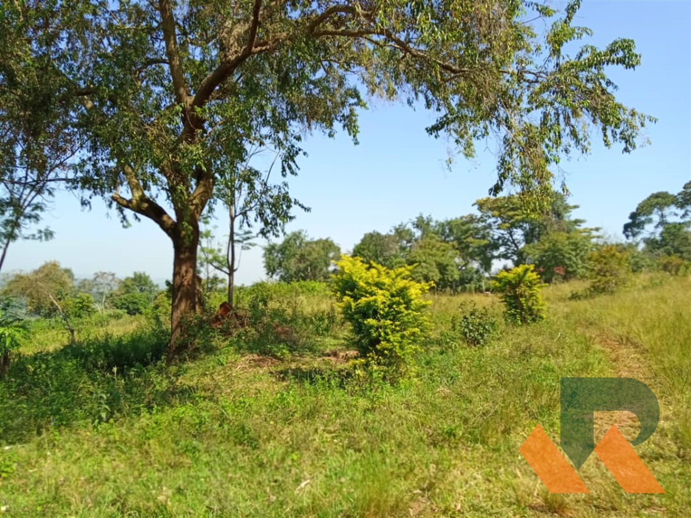 Recreational Land for sale in Nkokonjeru Mukono