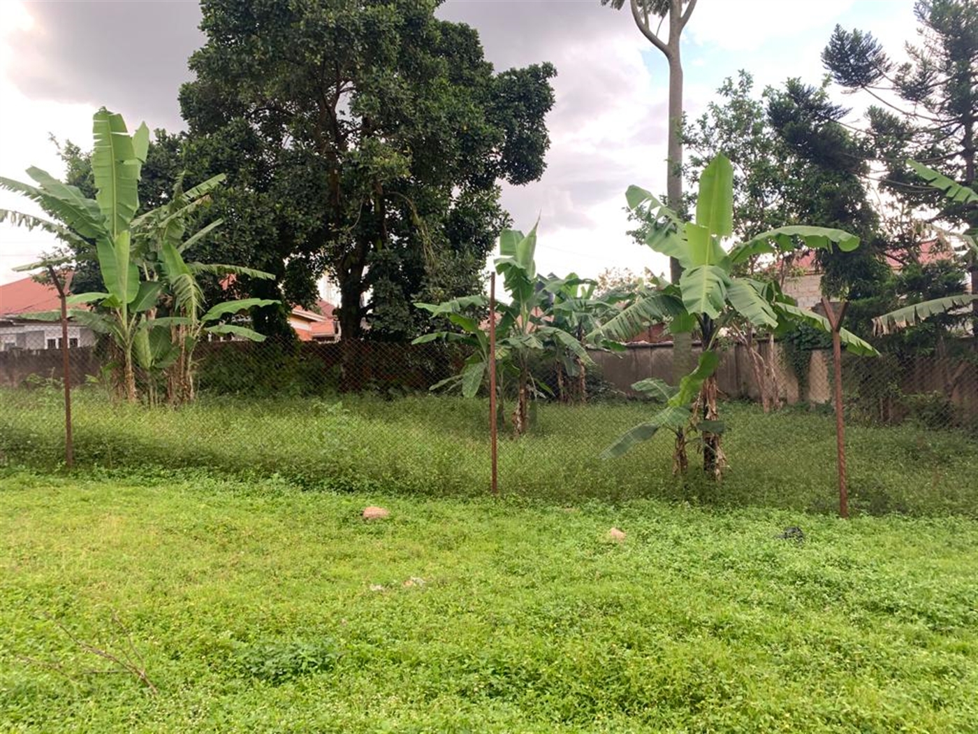 Residential Land for sale in Kisaasi Kampala