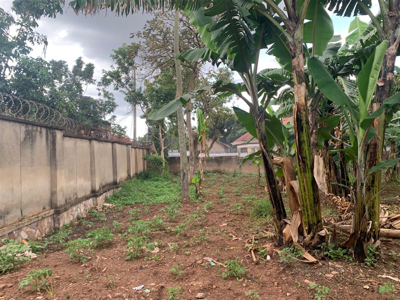 Residential Land for sale in Kisaasi Kampala