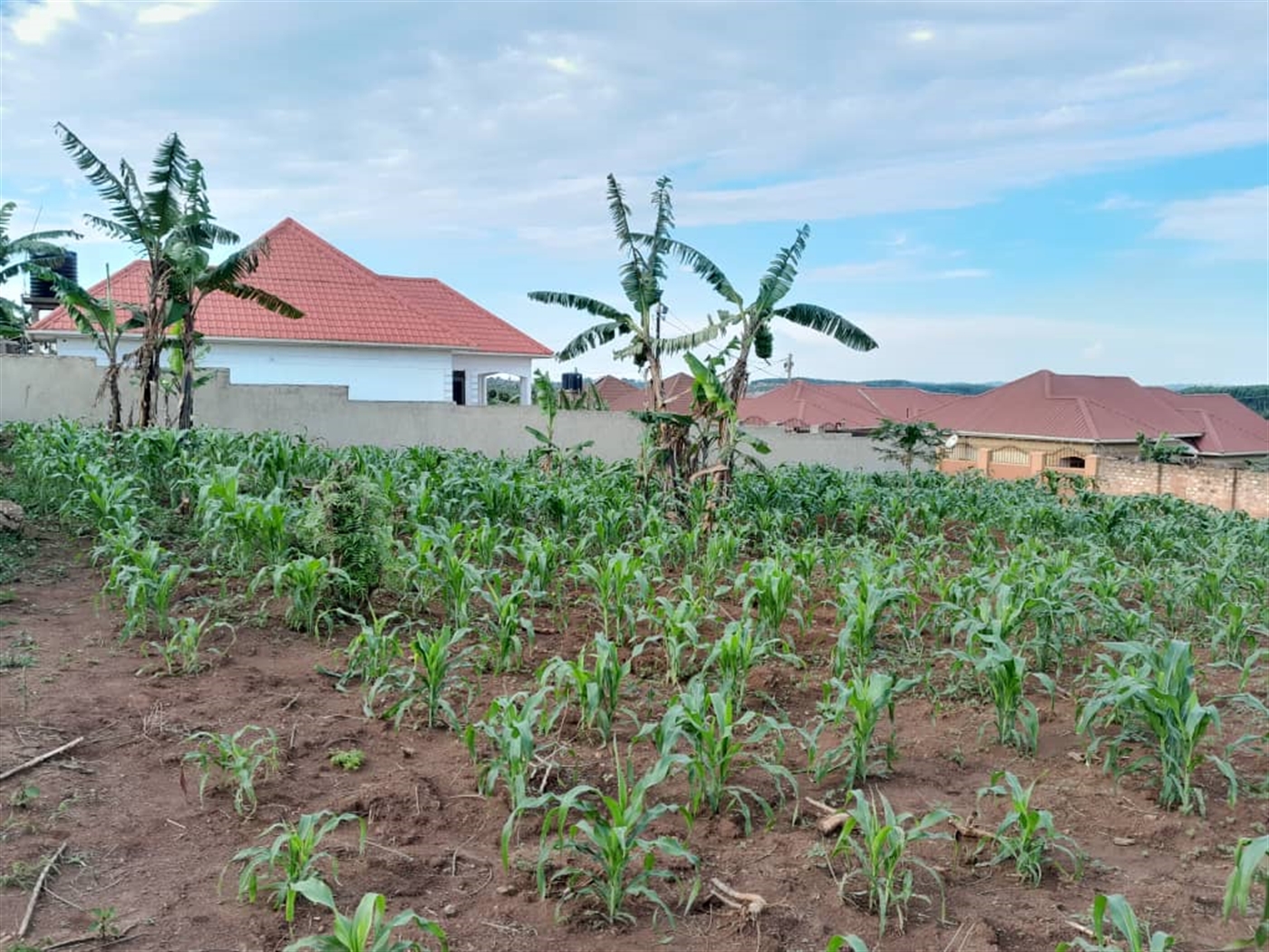 Residential Land for sale in Sonde Wakiso