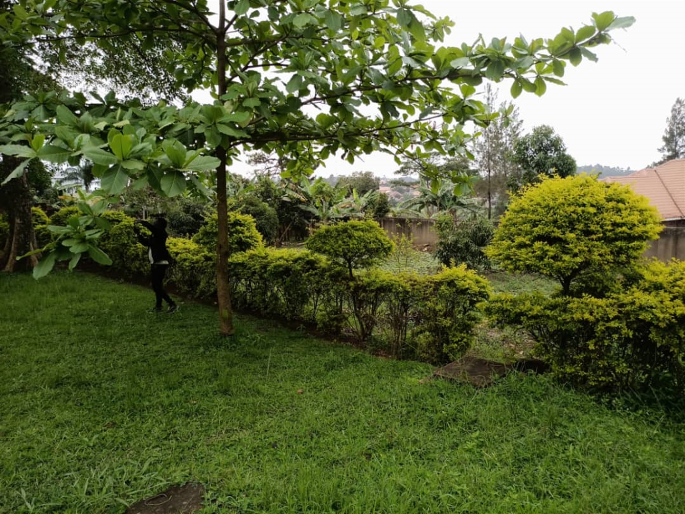 Bungalow for sale in Kawanda Wakiso