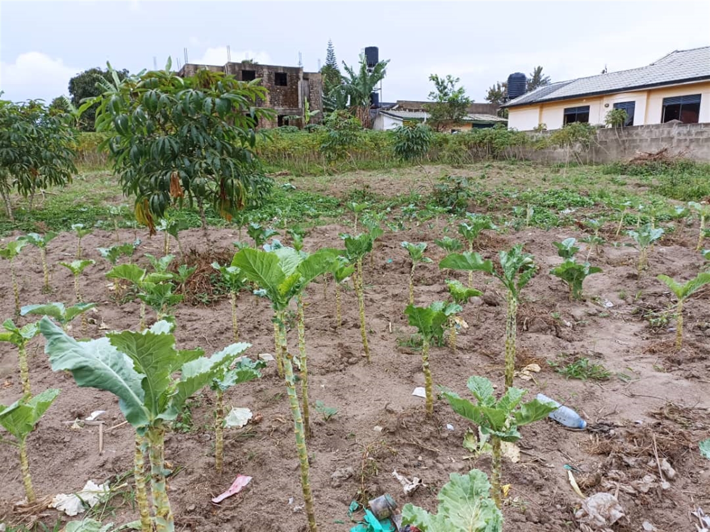 Residential Land for sale in Entebbe Wakiso