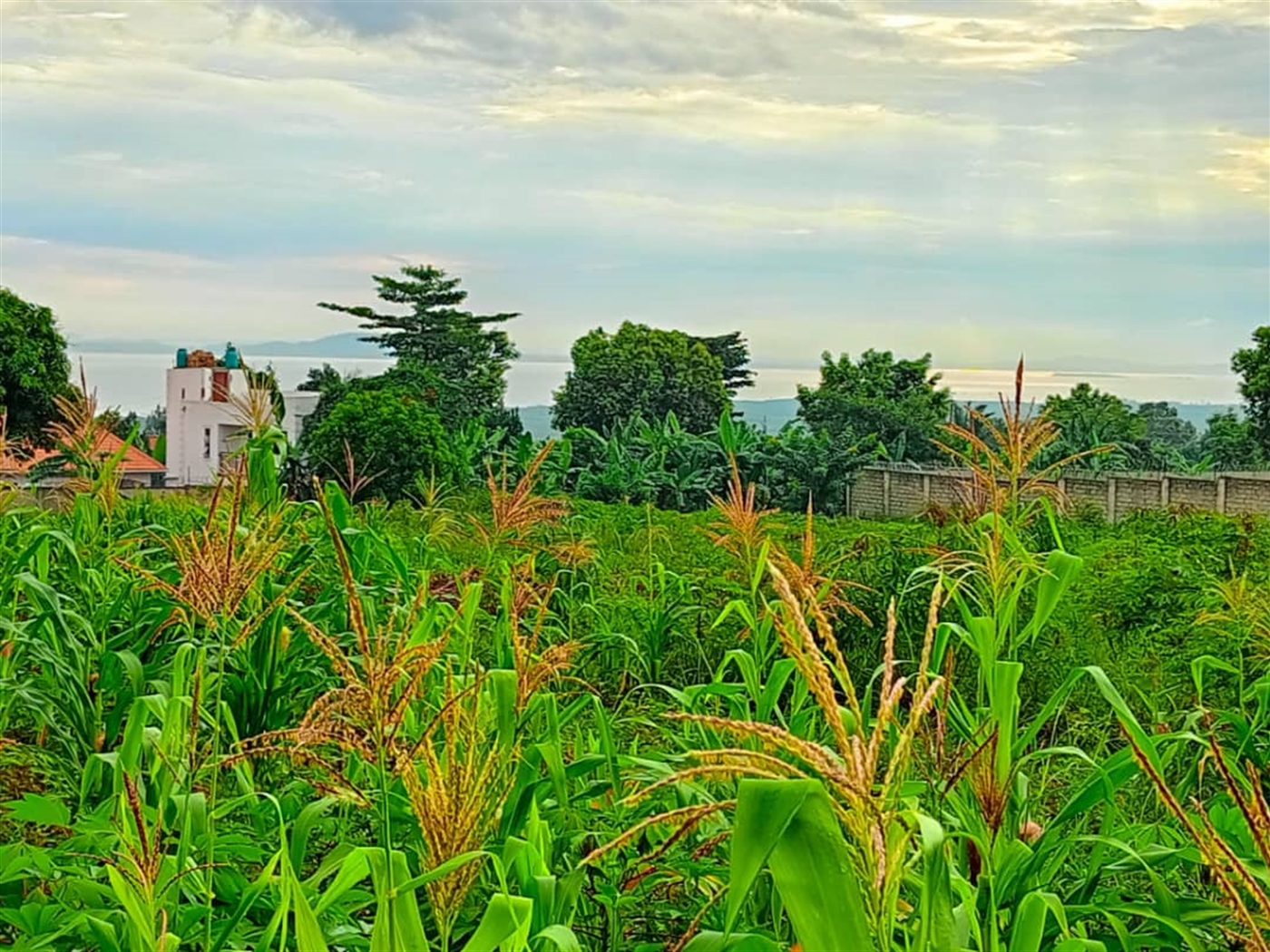 Residential Land for sale in Bweya Wakiso