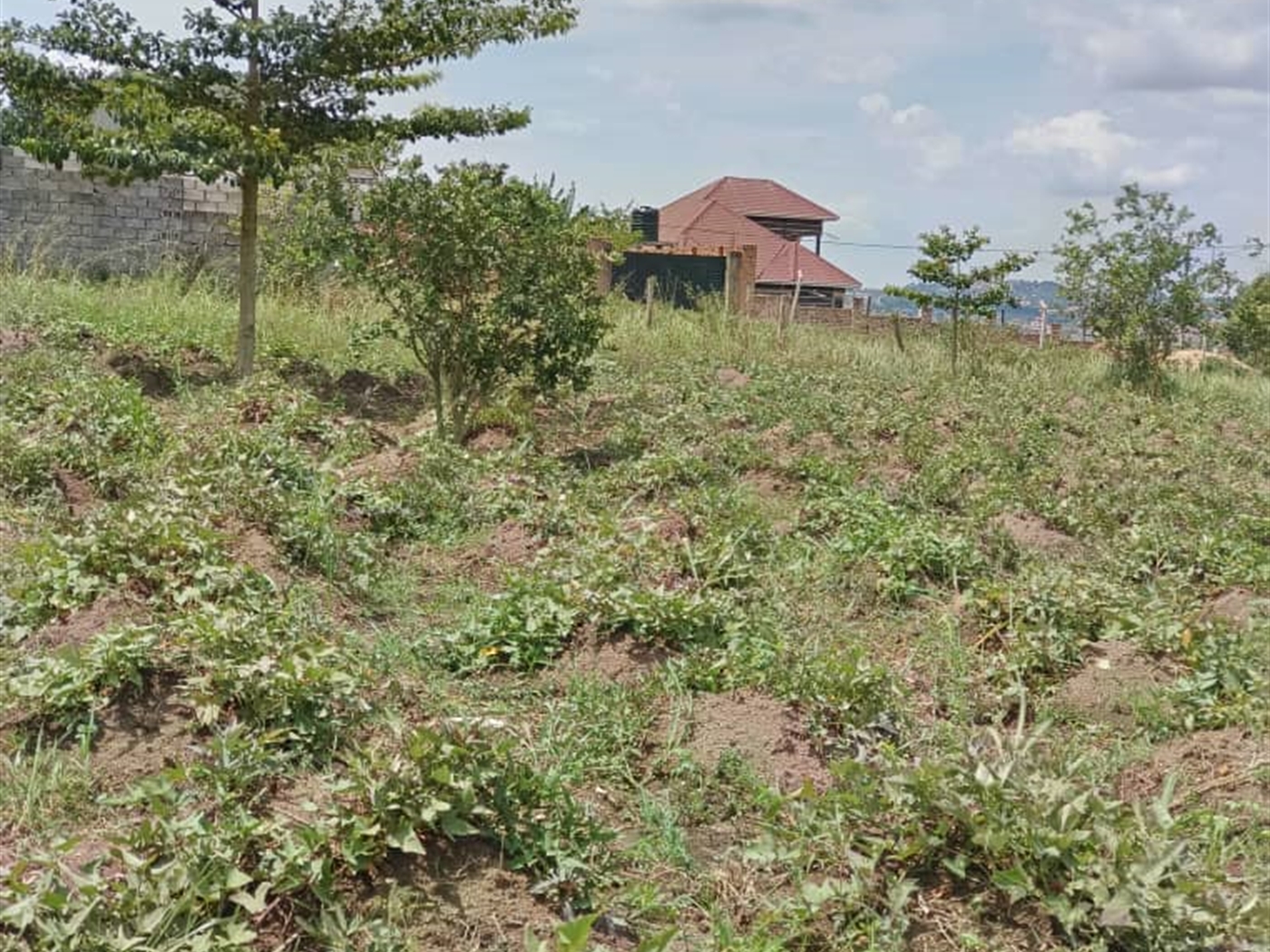 Residential Land for sale in Bweya Wakiso