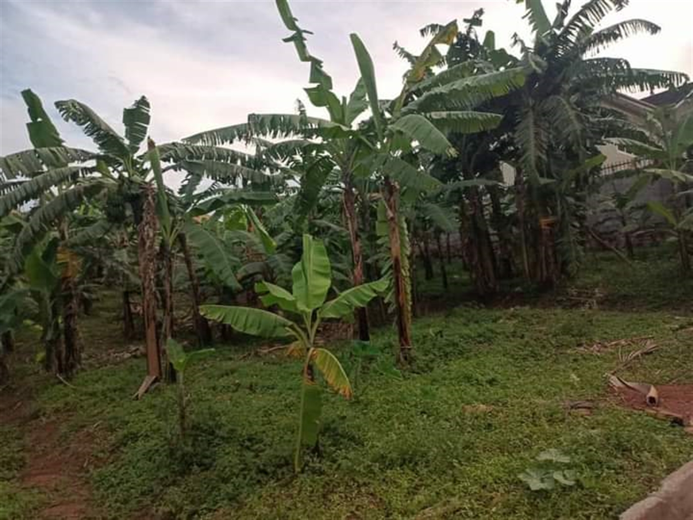 Residential Land for sale in Kyanja Kampala