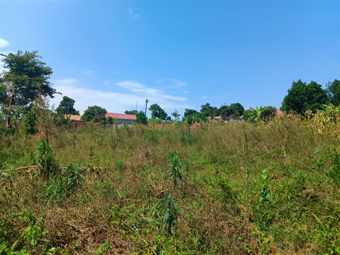 Residential Land for sale in Kisaasi Kampala