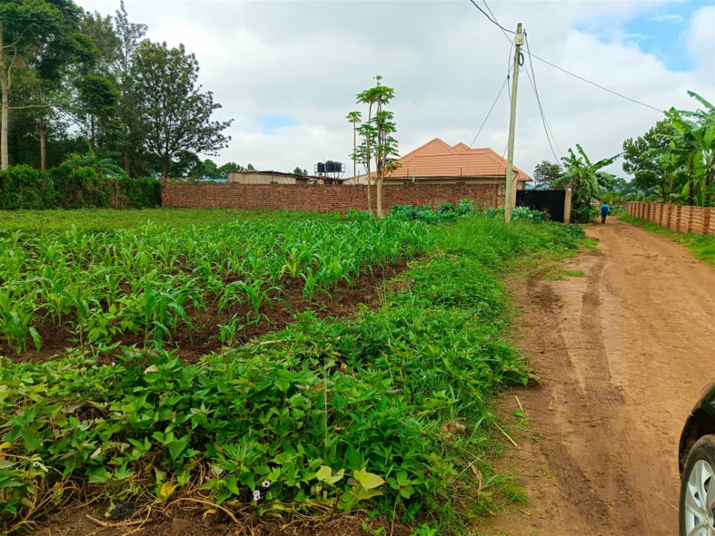 Residential Land for sale in Kira Wakiso