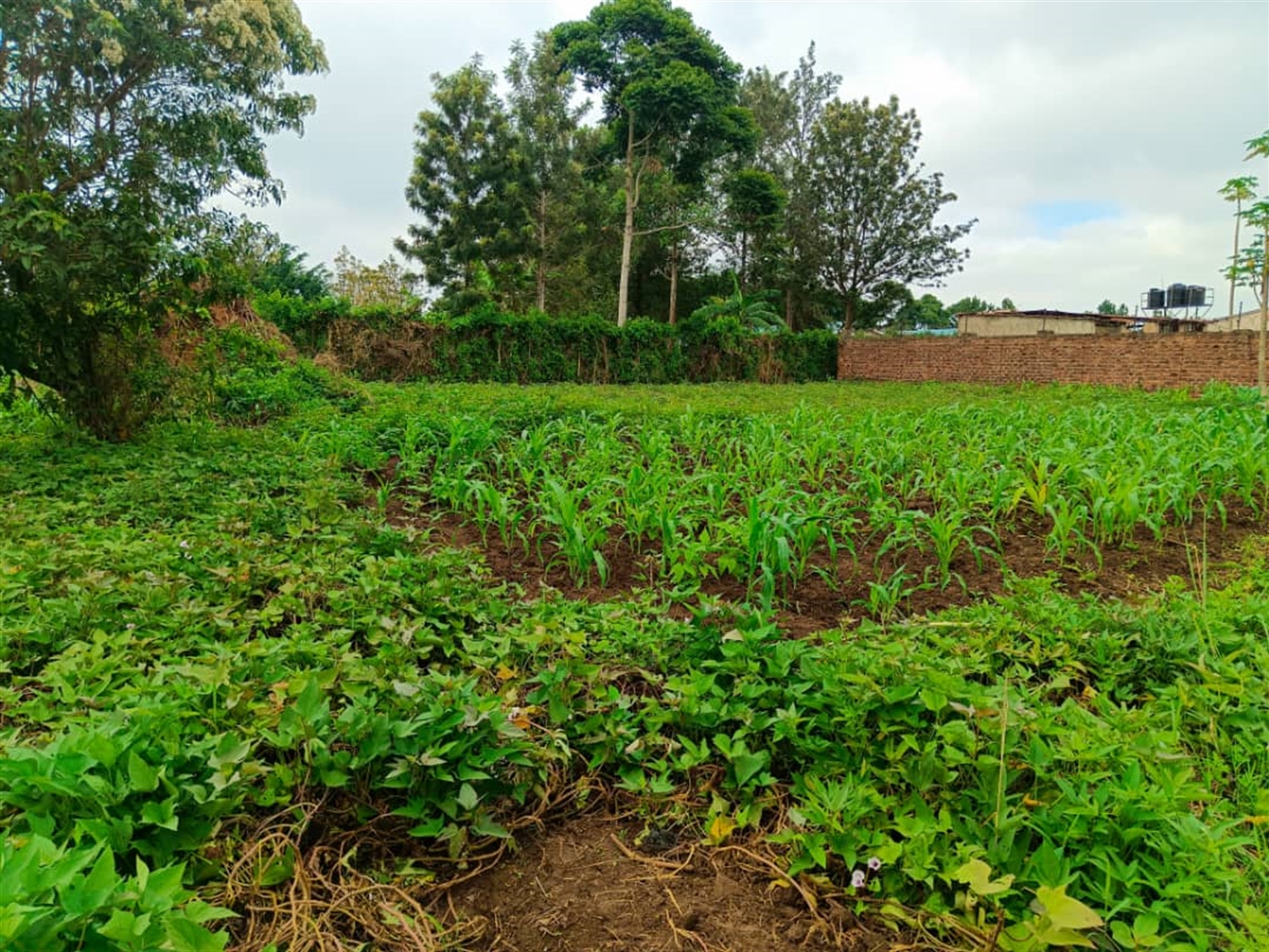 Residential Land for sale in Kira Wakiso