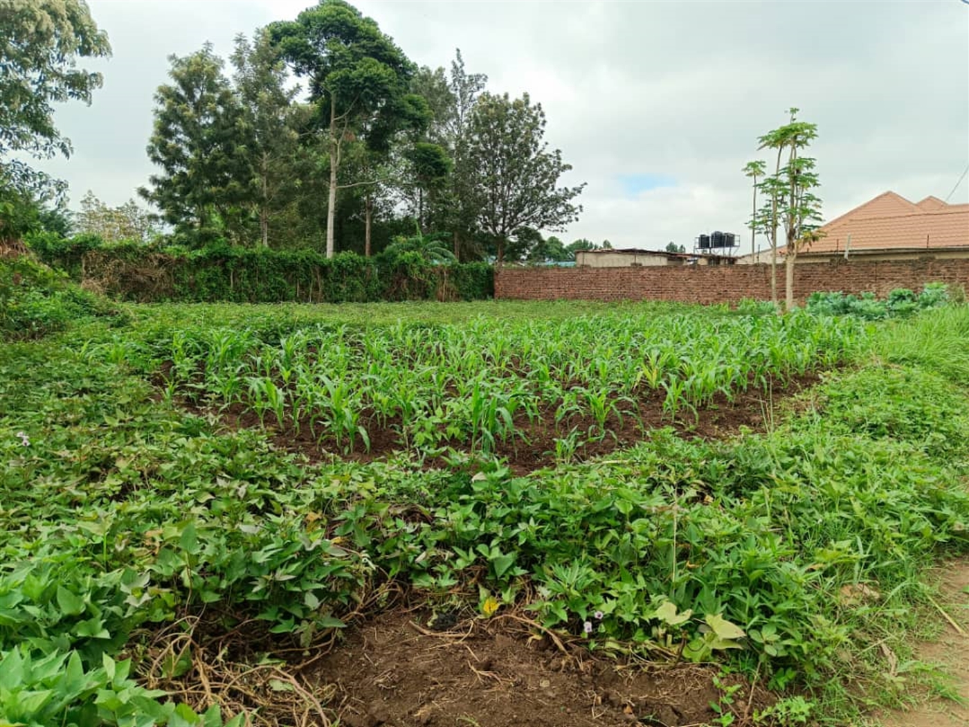 Residential Land for sale in Kira Wakiso