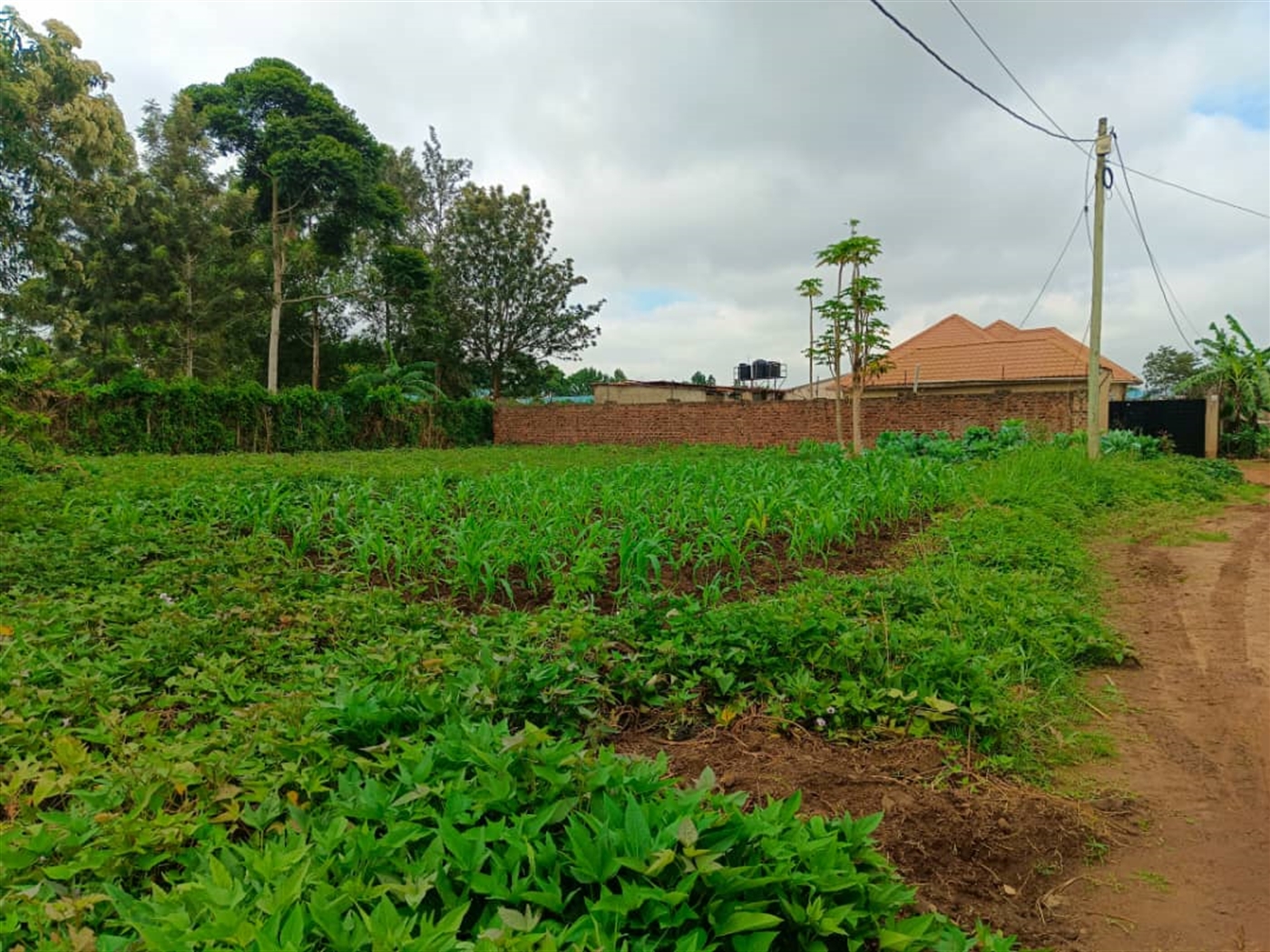 Residential Land for sale in Kira Wakiso