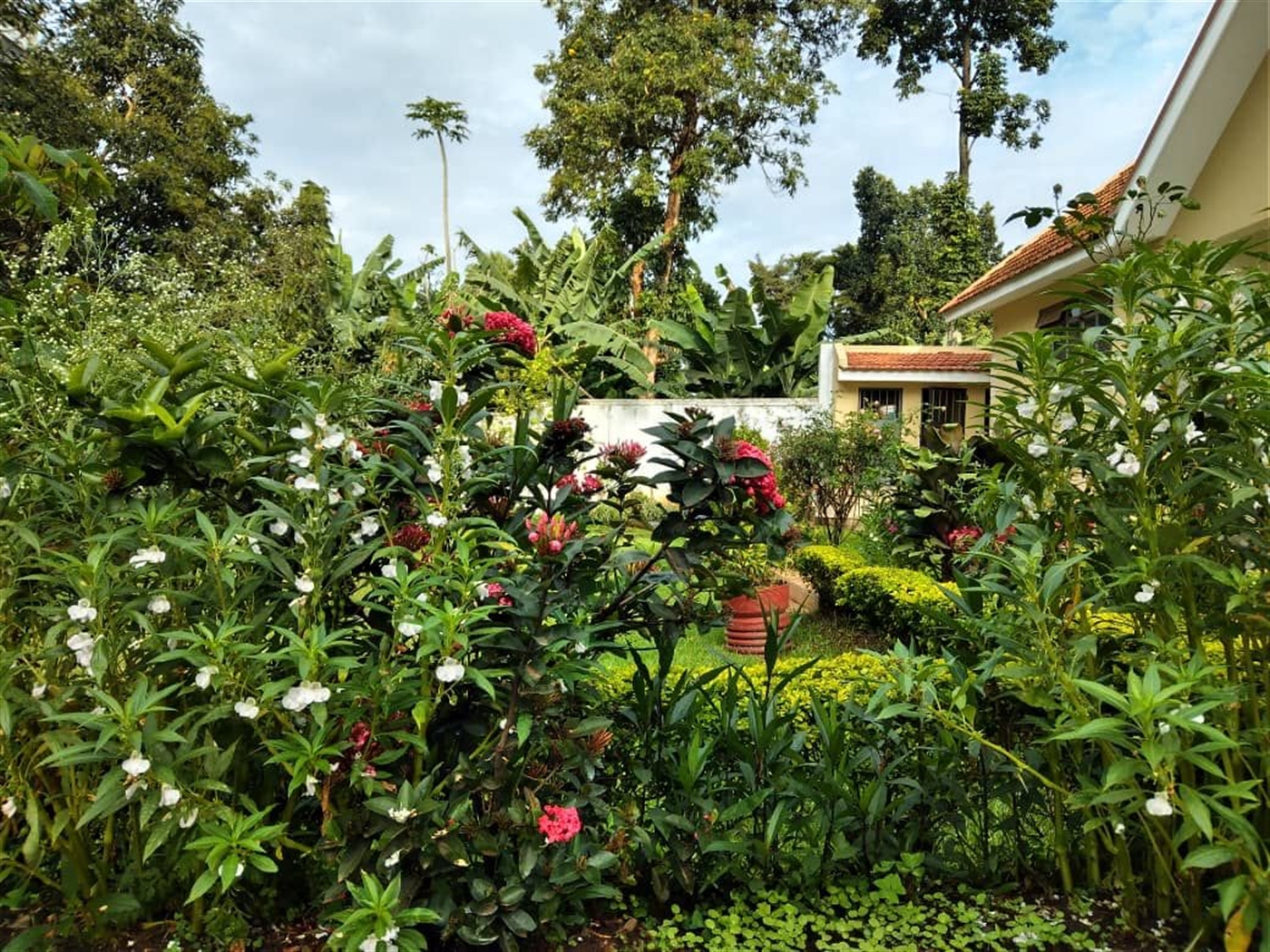 Bungalow for sale in Bukoto Kampala