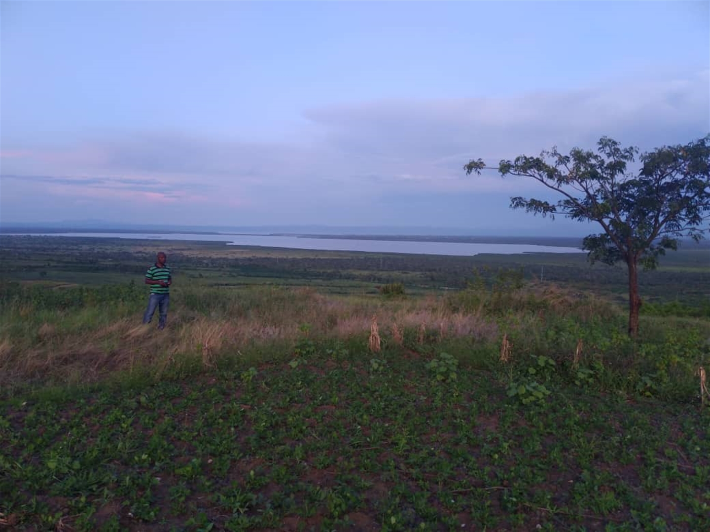 Recreational Land for sale in Mukokya Kaseese