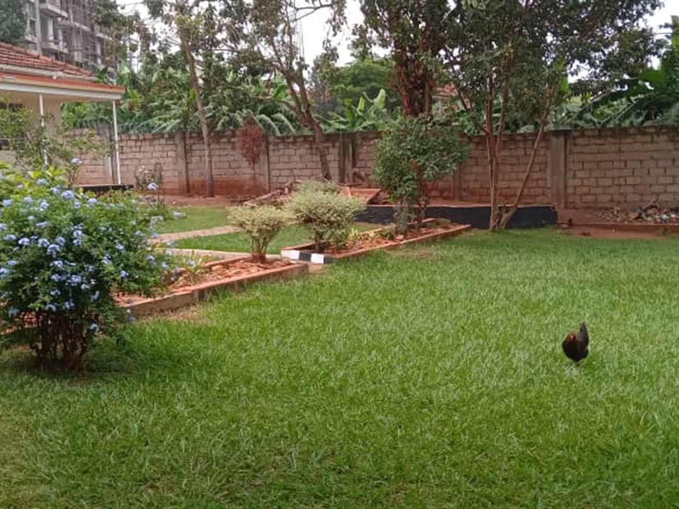 Bungalow for rent in Kansanga Kampala