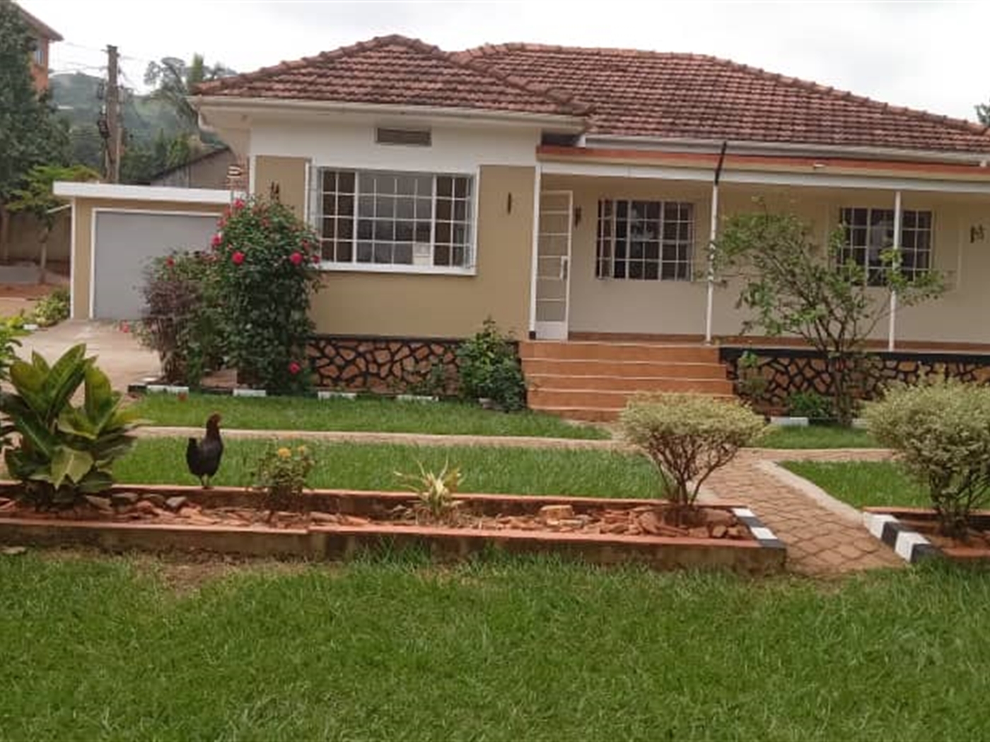 Bungalow for rent in Kansanga Kampala