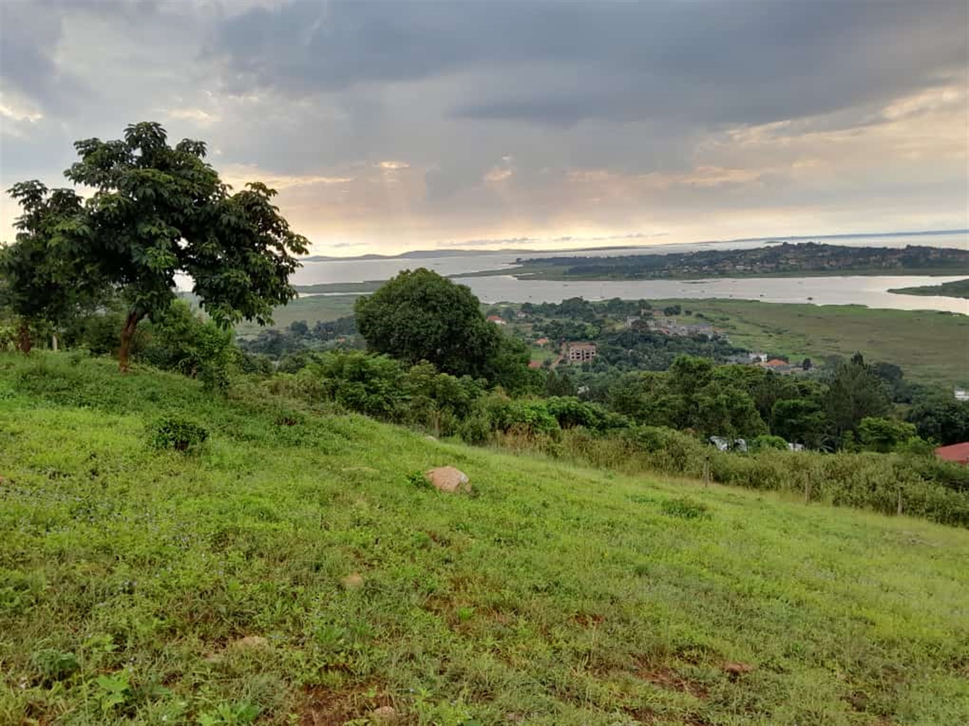 Residential Land for sale in Lutembe Wakiso