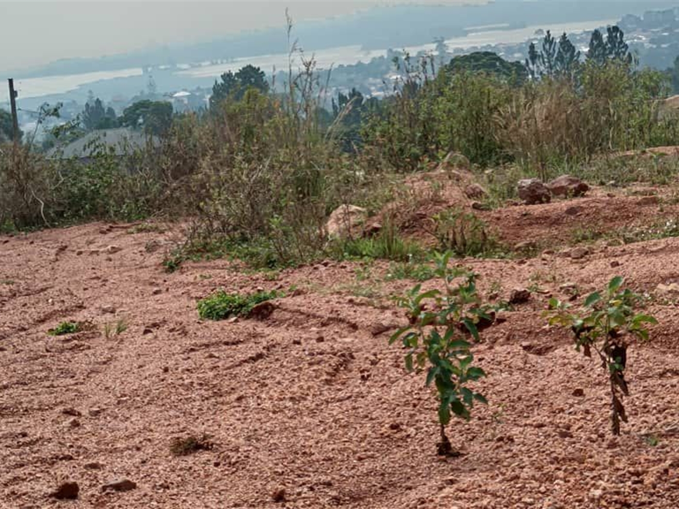 Residential Land for sale in Namulanda Wakiso