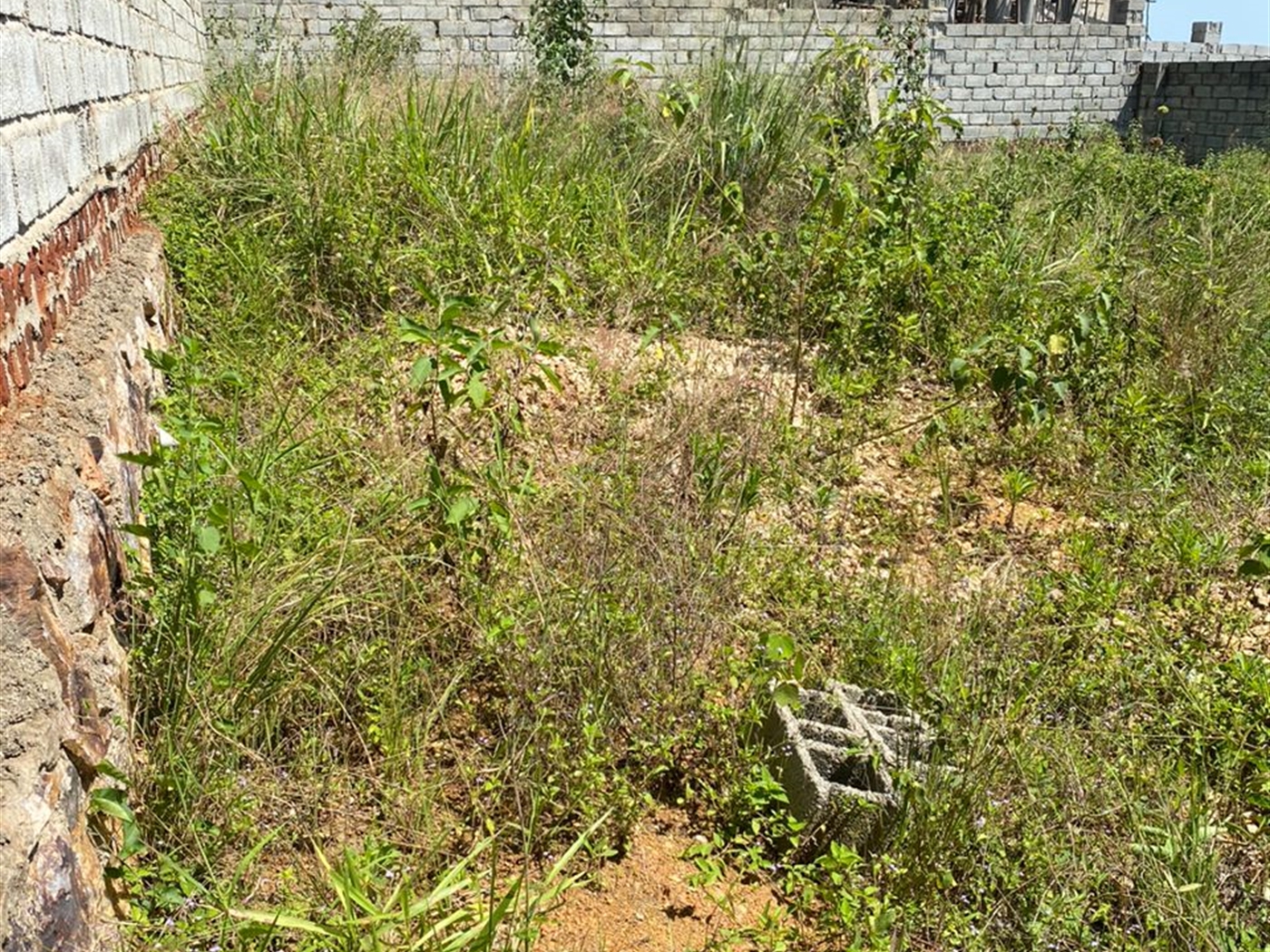 Residential Land for sale in Lutembe Wakiso